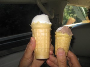 The difference in CONE size; small vs. large
